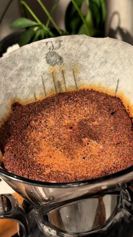 لا تحاول تخفي حبك عن عيوني ... الهوى باين عليك #محمد_عبده #فنان_العرب #اغاني #بدون_موسيقى #your_coffee #v60 