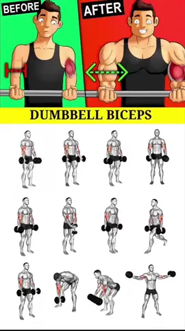 Effective Biceps Exercises 🔥 #fitnesstips #GymTok #fit #workoutroutine #muscle #musculation #exercise #Fitness #workout #homeworkout #gymtips