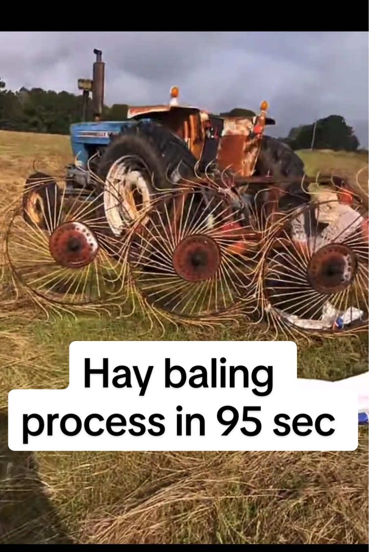 The hay baling process in 95 sec #farming #farmer #hay 