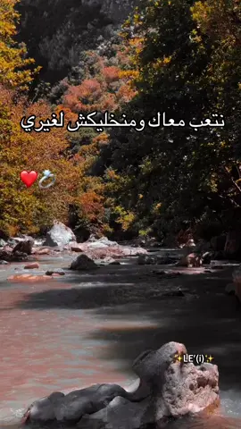بكية معاك ولا فرحة مع غيرك 💍❤️…! #tik_tok #algerien #vues #hachtag 