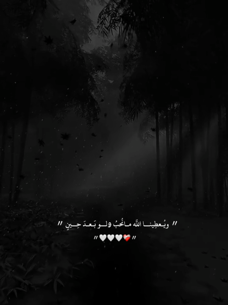 #ويعطينا_اللّٰه_مانحب_ولو_بعد_حين🤍🌸 #ツ🖤🎼🥀اكسبلورexplore  #CapCut  #froyou  #إعادة_النشر🔄  #♡♡♡♡♡♡♡♡♡♡  #tiktok  #follow 