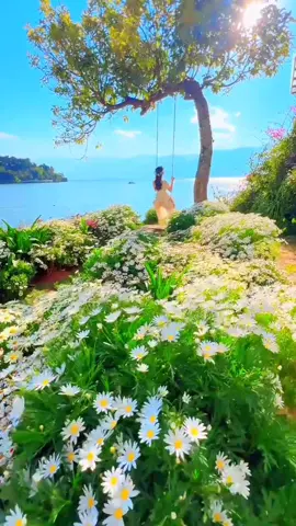 #💙💙💙💙💙 #tiktok #CapCut #viraltiktok #LIVEIncentiveProgram 