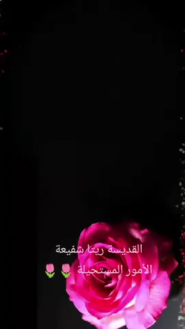 يا قديسة ريتا كوني معنا 🌷🙏🌷
