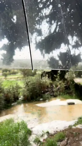 🤍🤍🤍🤍#اكسبلورexplore ###abha #السوده#تيك_توك #فلاح_المسردي 