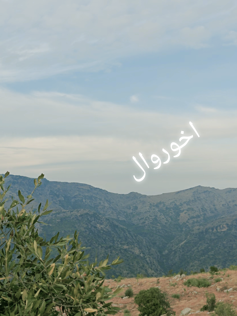 #fyp #foryou #foryoupage #plz #plzsupport #viral #viralvideo #viral #acount #پشتون_تاجیک_هزاره_ازبک_زنده_باد🇦🇫 #plz #plzsupport @𝐓𝐚ل𝐡𝐚 🥀 @ZaKiR OfriDi @zamamalangayara1 @Khan g💕 @Nₐ𝚍ₑₑᗰ ₐfᵣᵢ𝚍ᵢ @S❤A 