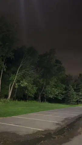 #wind #night #trees 