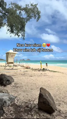 #hmongtiktok #hmong #niamntsuabteev #mayvang #tusiab #ncokuvniam #hmongquote #sadness #txojkevmusuanyab #nconiamncotxiv #niamthiabtxivtxojkevhlub #hmongdaughter #fyp #hmongstory #abcxyz #abc #mom 