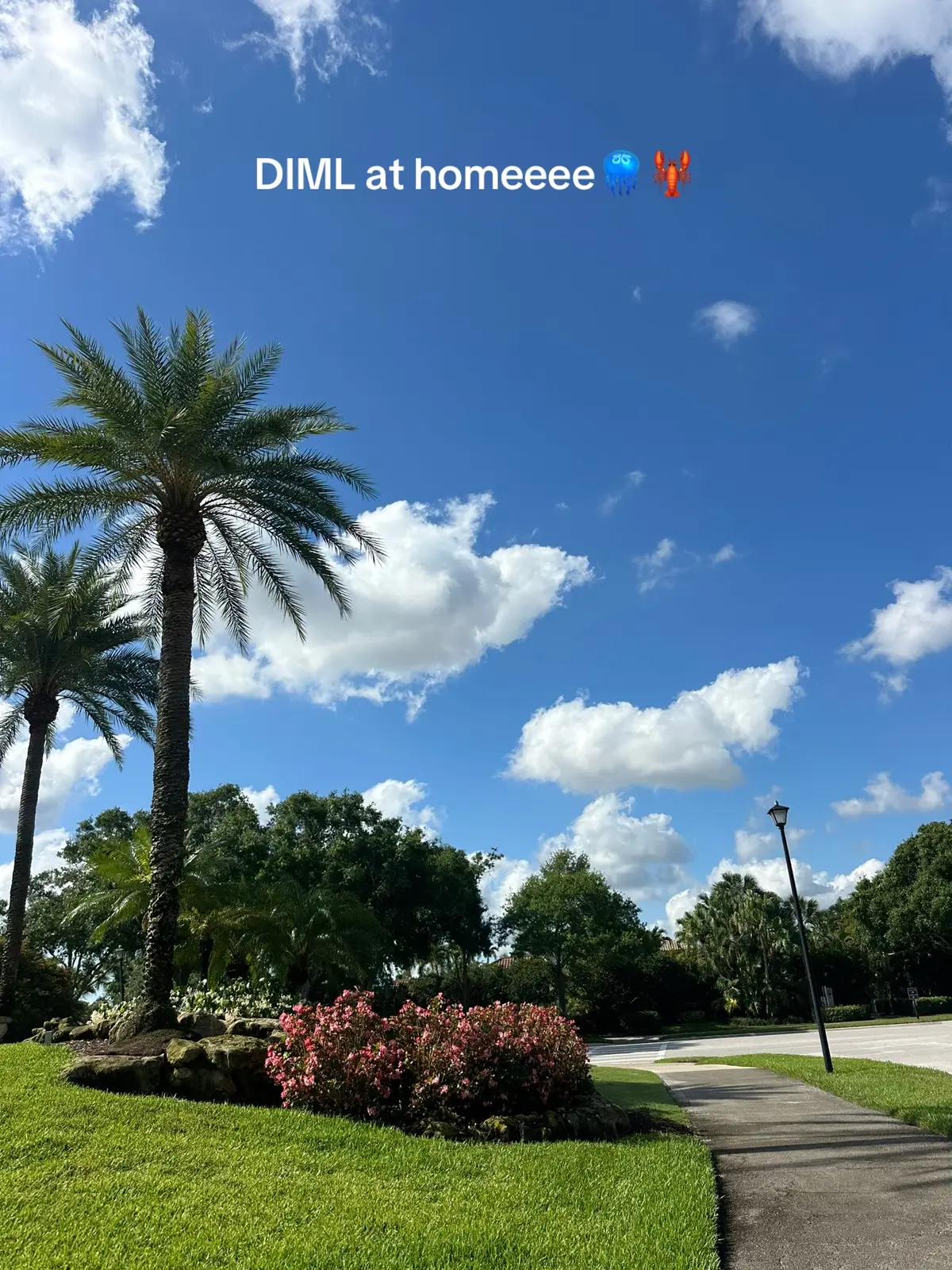#DIML 🏠🏠🏠