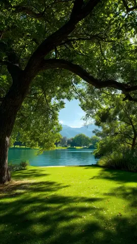 #foryoupage #fyp #soothing #nature