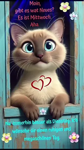 #fürdich #foryou  #wünschen euch  einen schönen  Mittwochmorgen 