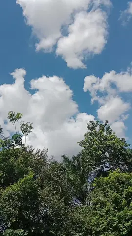 ✋ #supra #jogja24jam #kphjogja #stdwaningeyel #fyp 