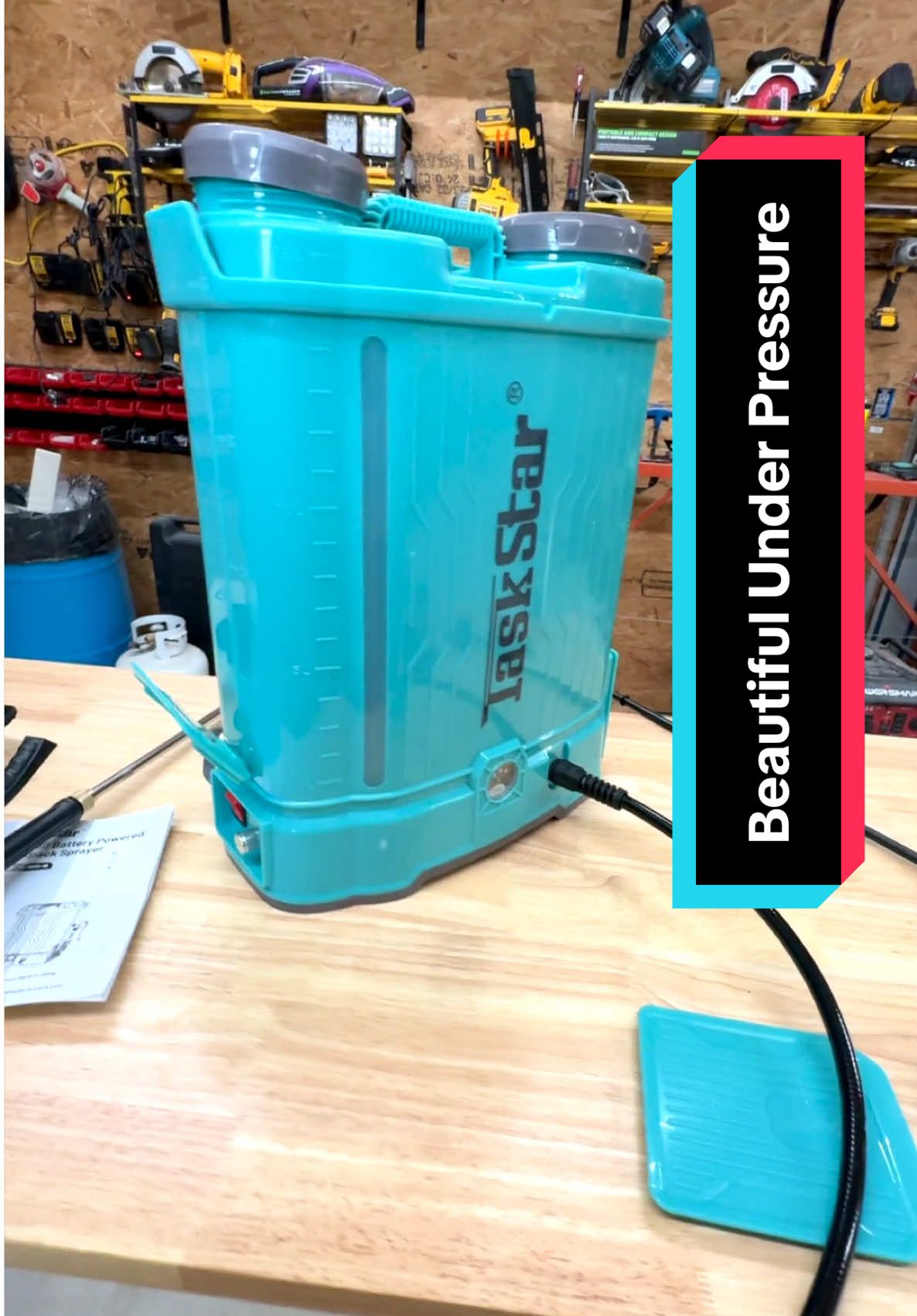 Check out this TaskStar battery powered pump. Use it for the garden or around your home. Built on the Task Star battery platform, you’re gonna love being able to charge one battery while you are using the other. Plus, if you have other tools that have these batteries, you can use those batteries on the sprayer as well. #garden #DIY #farmtok #homestead #farmlife #pestcontrol #chemicalsprayer #thrivingcountry #taskstar #tiktokshopmothersday