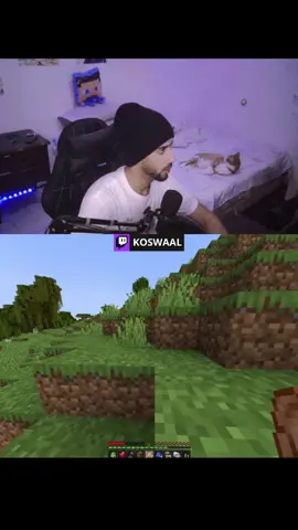 Twitch: Koswaal . . . . . . . #streamerpequeño #minecraft #gamerentiktok