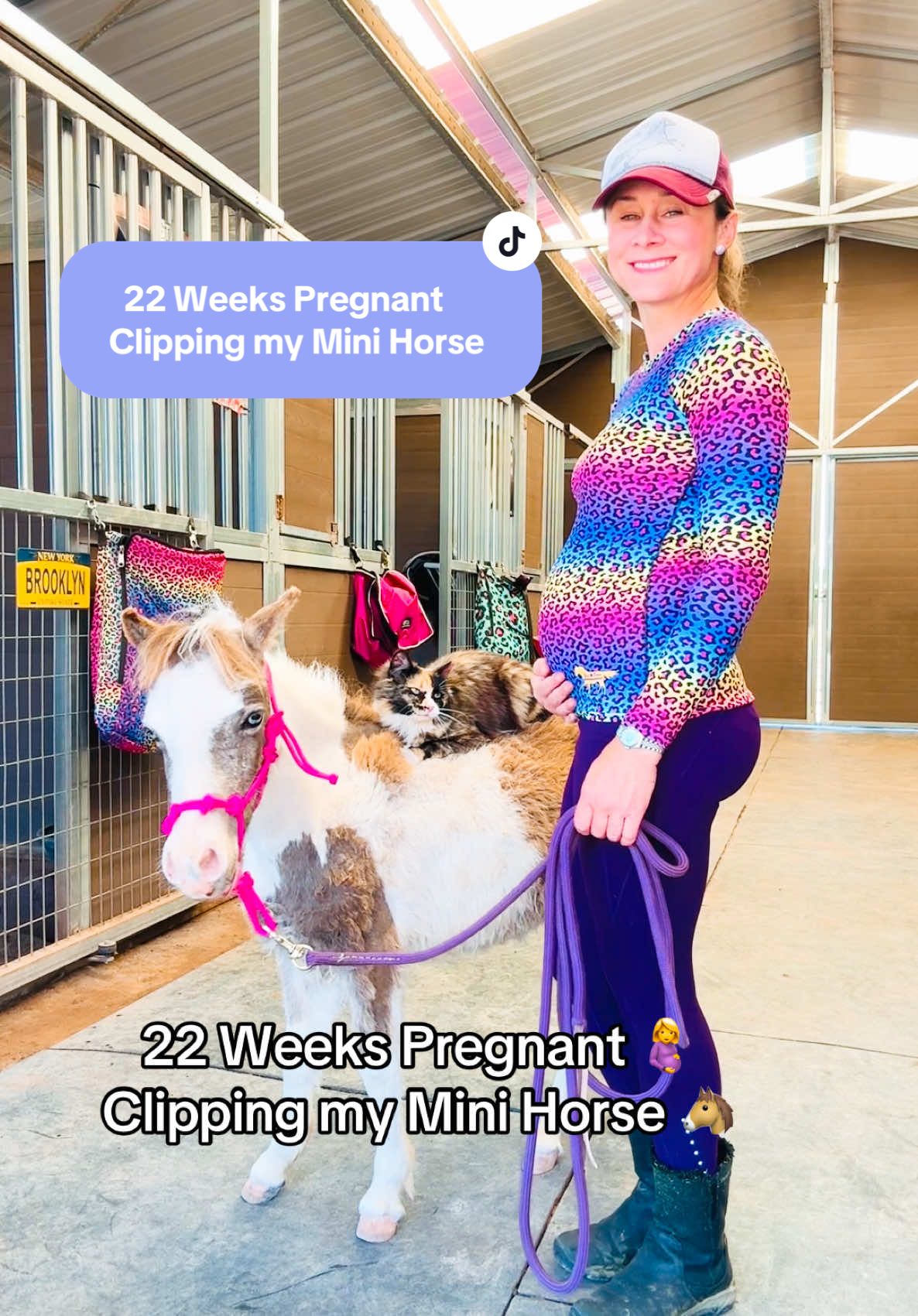 22 Weeks Pregnant 🤰 Clipping my Mini Horse 🐴 #fyp #foryou #horse #equestrian #pony #pregnant #horsegirl #minihorse 