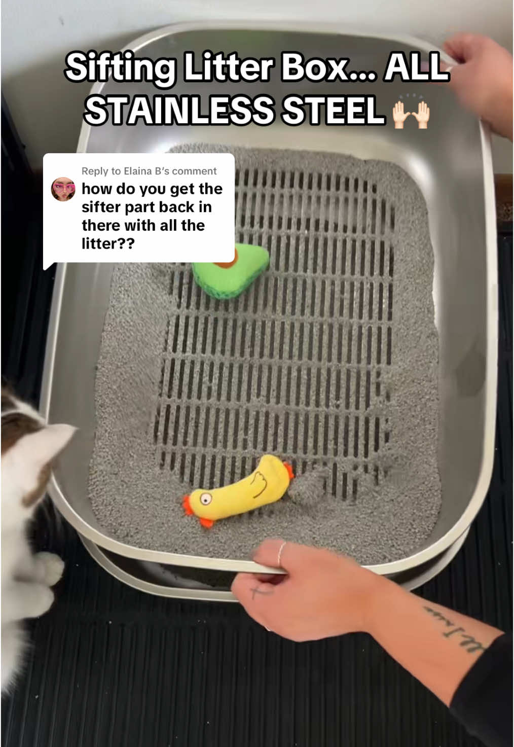 Replying to @Elaina B hopefully this gives you more of an idea of how this sifting stainless litter box works 😊 #cat #catsoftiktok #cattok #litterbox #catlitterbox #stainlesssteellitterbox #siftinglitterbox #litterboxcleaning #litterboxtips #catlitter #tiktokshopfinds #tiktokshopmemorialday #spotlightfinds #fyp 