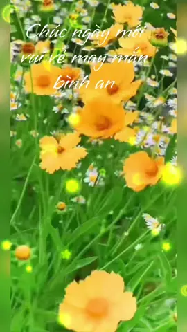 Mỗi ngày mới là một quà tặng. Hãy sử dụng nó một cách sáng tạo và có ý nghĩa Hãy làm việc mỗi ngày như bạn đang tiến gần hơn đến ước mơ của mình                                           Đường dù ngắn không đi không đến, việc tuy nhỏ không làm không thành                                                           Chúc ngày mới tốt lành đến với tất cả mỗi người..