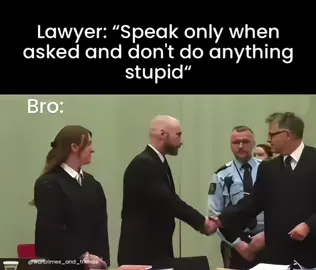 #funnymoments #funnytiktok #memestiktok #meme #bruh #humor #comedytiktok #foryoupage❤️❤️ #joke #harrypewpew5 #fyfy #fyppp #fürdich #fürdichpage #pourtoiiiii #zatebe #norway #andreasbreivik 