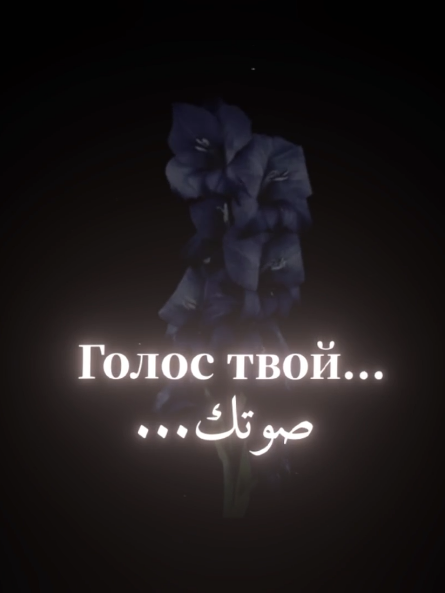 голос твой - колыбель моя... (мой стих, не перевод) #fyp #sevda #sevgi #islam #nasheed 