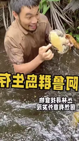 thử thách sinh tồn 30 ngày phía bắc Australia #sanbat #sinhton #Úc 