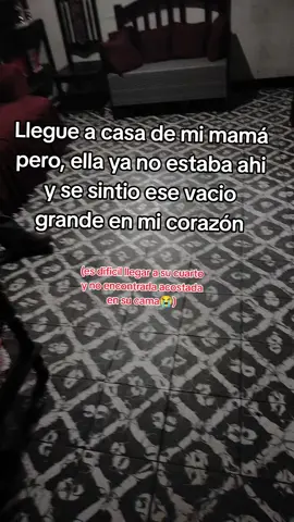 No saben ni tienen idea de lo dificil que es llegar a casa de mamáy ya no encontrarla a ella acostada en su cama 😭😭😭#fyp #parati #viral #descancemamita😭😭😭😭 
