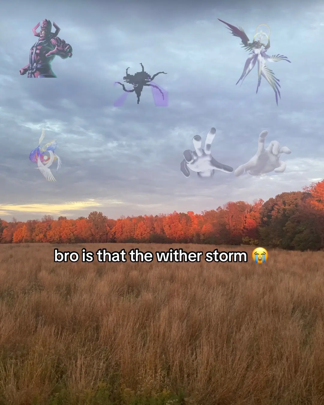 Crazy how Galeem sweeps them all😭🥀