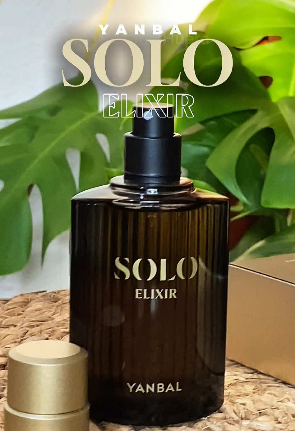 NUEVO! perfume SOLO ELIXIR 💫 Si tienes una personalidad  misteriosa, fuerte y seductora este perfume es para ti #solo #yanbal #yanbalecuador #perfumes #perfumesmasculinos #fraganciasmasculinas #fragancias  #fouryou #fyp #fouryou #perfumehombre #Viral #yanbalperu 
