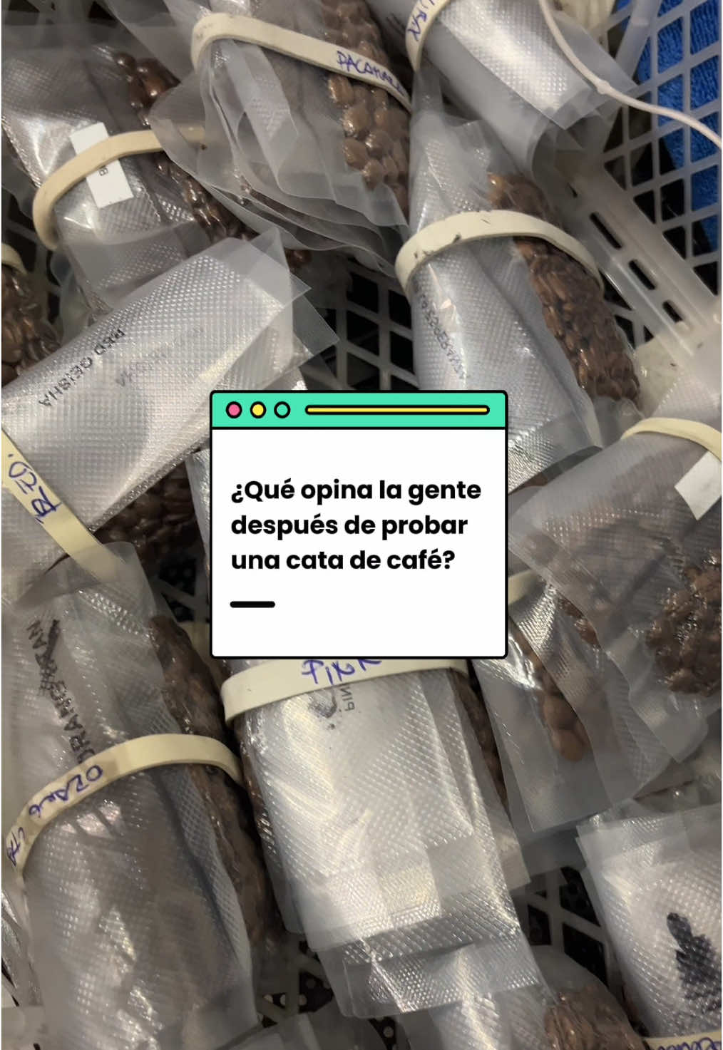 Al parecer no volvieron a ver el café igual ☕️. #CataDeCafé #SingularCoffee #CoffeeLovers #BarrioItalia #PanoramaGratis #Especialidad #CaféEnSantiago #RutaDelCafé