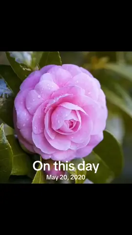 #onthisday 