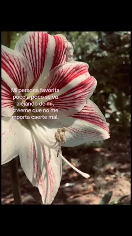 Créeme que no me importa…🫩#frases#fyp#viral 