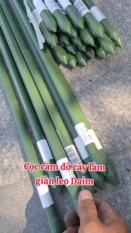 #trending #vattulamvuonbaominh #bonsai #trongrausanthuong #trongrausach #coccambocnhua #ongthepbocnhua 