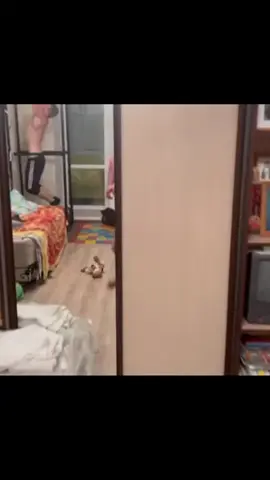 Andrey Smaev - #andreysmaev #smaevedit #GymTok #gymmotivations #editinspiration #fitnessaesthetic #ironaddict #russiangrind #beastmode #viraledit #foryou #fypシ #10kstrong #darkaesthetic #grinddontstop #traininsilence #ironmind #