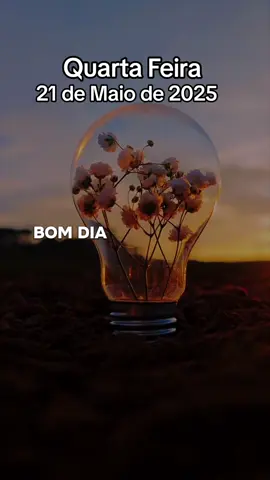 Jesus bom dia meu mestre!   é Quarta Feira Pai, e com essa oração da manhã, do dia 21 de Maio eu te entrego mais um dia. Amém ❤️ #quartafeira  #oracaododia  #bomdiaaaaa  #mensagemdefe  #reflexao  #status 