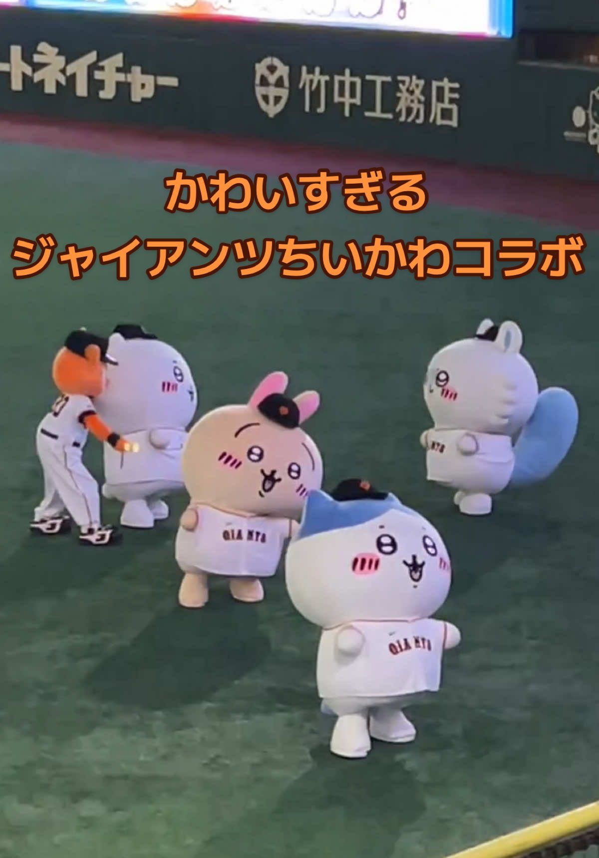 毎年やってほしいレベルでかわいすぎるジャイアンツちいかわコラボ😘 今年はMLBともコラボしてたし、さすがにちいかわ達もう来てくれないよね〜🥺 また東京ドームで会えるのを心待ちにしてます🫶 #ジャイアンツ #ちいかわ #ハチワレ #うさぎ #モモンガ @ダッシュ田中 #CapCut 