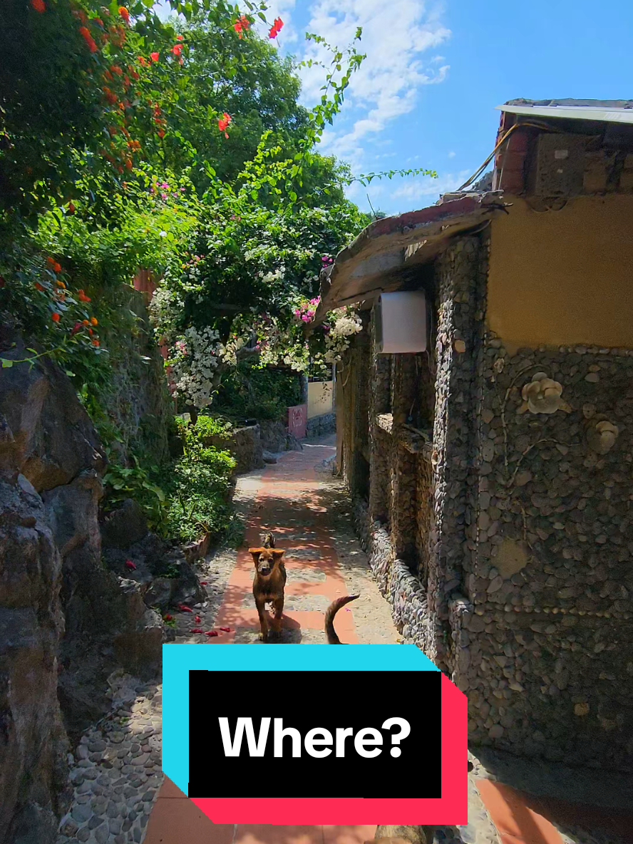 99% du khách đến Cát Bà chưa từng thấy view này...- đảo Cát Ông! #dulich #beach #catba 