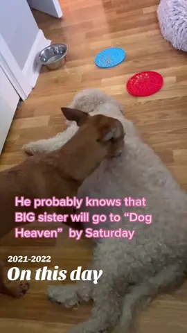 #onthisday 