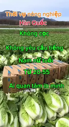 #xuhuong #trending #nongnghiephanquoc #korean #
