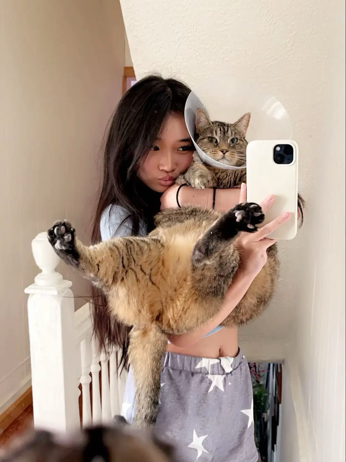 #mybaby #cattok 