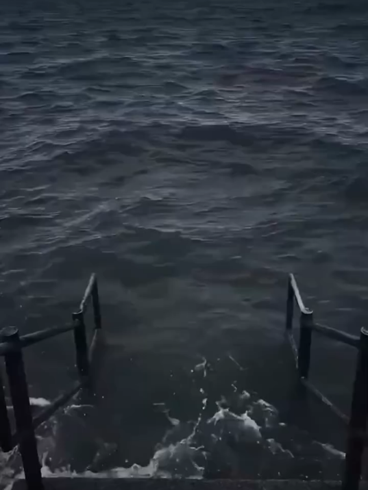 #🗿 #memee #memevideos #memereceh #memedaily #ngakaklucu #memess #memestiktok #asupanmeme #funnyvideos #humortiktok 