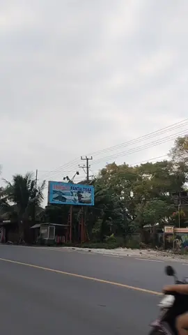 📍Salah satu pantai yang berada di kota bandar Lampung Tepatnya di panjang Srengsem. #foryoupage #bandarlampung #lampung #fyppppppppppppppppppppppp #foryoupageofficiall #story #pantai #pantaitiskalampung 