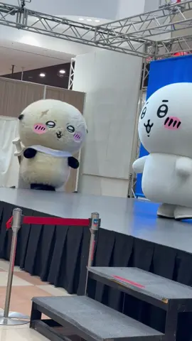 むちゃフォトパーティアリオ八尾🪅 ラッコ先生の登場‼️🦦 #ちいかわ #ちいかわ好きと繋がりたい #ちいかわ好き #ちいかわ好きは❤️連打 #ちいかわ大好き #ちいかわがいる生活 #ちいかわ好きさんと繋がりたい #ラッコ先生 #むちゃフォトパーティ 