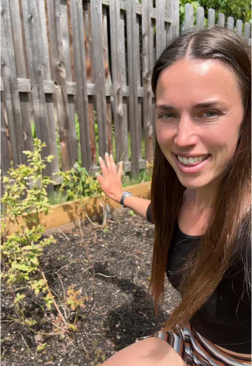 My blueberry bushes are living their best, most acidic life. Blueberries thrive in low pH soil, so I collect used coffee grounds and sprinkle them around the base like a caffeine fairy. It’s low-effort, natural, and keeps them happy. I weed around them regularly to cut down on competition and keep things tidy. Every year, I give them a proper trim—usually in early spring or late fall. I remove any dead or weak branches and shape them so light and air can move through the center. It’s all about helping them grow strong, stay productive, and look neat while doing it. If you’re growing blueberries or planning to, just know they’re low-maintenance but picky. They like acidic soil, clean roots, and a bit of regular attention. Give them that, and they’ll give you berries. #gardening #emsgarden #blueberrybushes #onlyemily