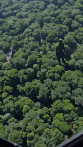 Gigante avistado desde helicóptero en las selvas africanas - Giant Spotted from Helicopter over African Jungles Video Completo: https://www.facebook.com/61574563460057/videos/1019619726983598 Desde lo alto de un helicóptero, un equipo de exploradores logró captar una figura impresionante moviéndose entre la espesa selva africana. ¿Se trata de una criatura desconocida, una leyenda viva o simplemente un efecto óptico? El video ha causado furor en redes por su realismo. Mira con atención y saca tus propias conclusiones. #SelvaAfricana #avistamiento #Helicoptero #misterioreall @mundo.terrorifico @xfilesncryptozoology @explorando_a_matrix @ovni_avistamientos