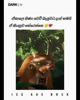 🥰Youtube chanel එකට Support එකක් දේන්න පුලුවන් අය🥹 #iceage #buck #wadan #status #viraltiktok #viral #foryou #foryoupage #fyp 