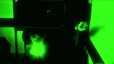 #neon #fyp #aesthetic #green