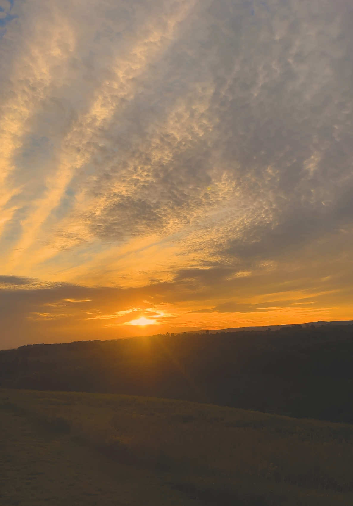Growing ☀️✨❤️ #pennsylvaniacheck #pennsylvania #sunset #sunsetlover #fireinthesky #sunrise #sunriseview #sunsetvibes #enchantedforest 