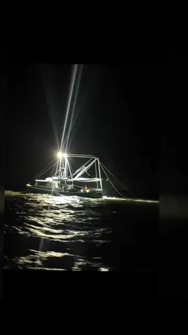 #fyp #foryoupage #gulfcoast #southern #shrimp 