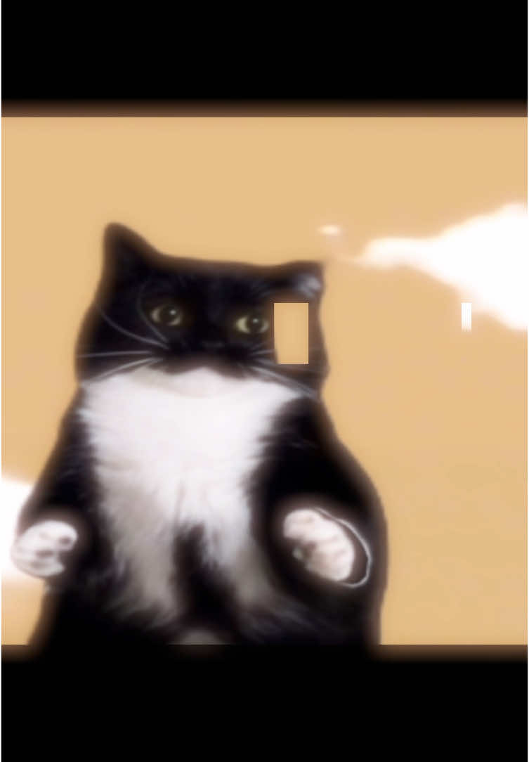 The clips I made (Comic ones) r so buns 💔💔 #tiktok #capcut #nodevideo #may #makethisviral #popularviews #fyp #fypシ #fyppppppppppppppppppppppp #trend #follow #like #edit #🔥 #Uni #Maxwell #unithecat #cat #catsoftiktok 