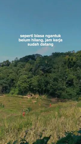 🥴
