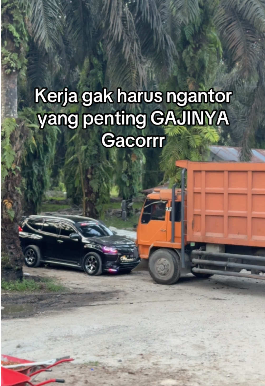 Cocok di rasa??🤩 #sawit#petani#kulisawit#sawit#sawitriau#sawit 