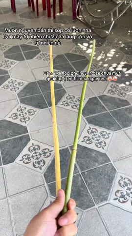 Muốn nguyên bản tự nhiên có muốn chà láng có hết nhá, to nhỏ đủ size đủ số liên hệ sốp là có 😂 đang dịp sale sập sàn đón hè phụ huynh nhanh tay chốt đơn nha nhaa #roi #roimay #hopphuhuynh #cuoiki #decor #bupmangnon #xh 